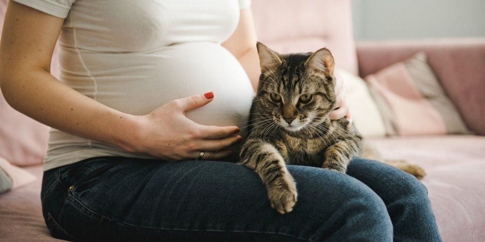 La toxoplasmose pendant la grossesse : comprendre, prévenir, sans culpabiliser.
