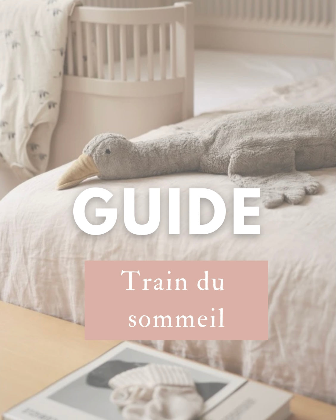 Guide Train du Sommeil - Les Bains de Romane